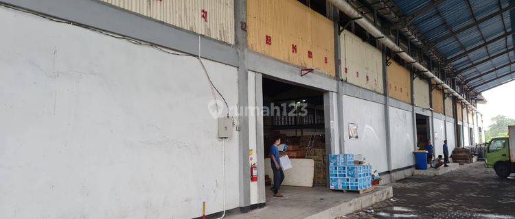 Gudang besar bonus ruko jalan utama Sempidi 1