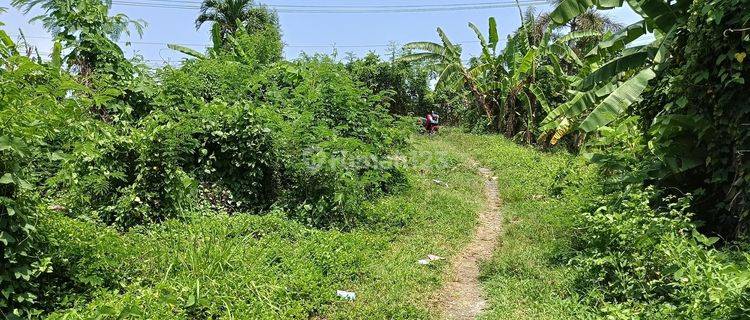 Residential Area Plot Land Near Badung Government Center 1