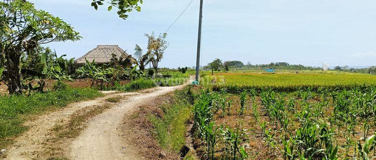 Tanah Zona Pariwisata Dekat Waka Resort Yeh Gangga 1