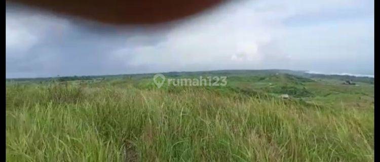 TANAH PADAT & RATA DI PANDEGLANG KABUPATEN SERANG BANTEN DIJUAL 1