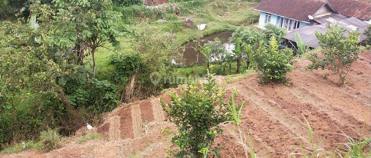 Tanah Murah Tiga Ratus Ribuan di Pangalengan 1