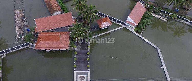 Villa di Tasik 1