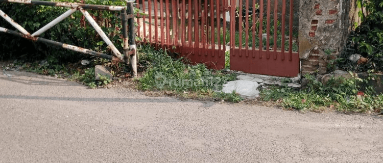 Rumah Minimalis Asri di jalan Elang Bandung 1