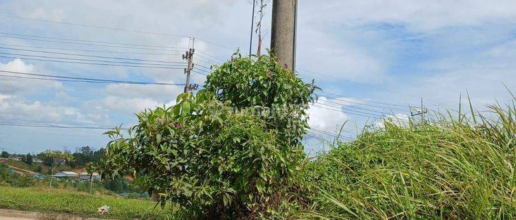 Tanah Luas 45090 M2 Kondisi Rata Di Pulau Balang 1