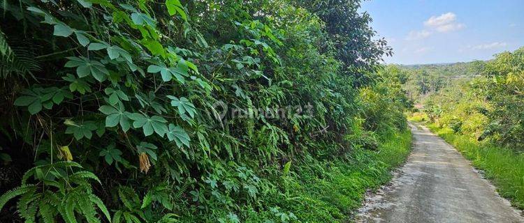 Tanah Luas 17130 M2 Di TransAs jalur 2 Di kM 8 Dalam 1