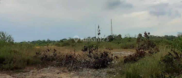 Lahan luas 29245 M2 Di Ruas Utama Jalan Provinsi 1