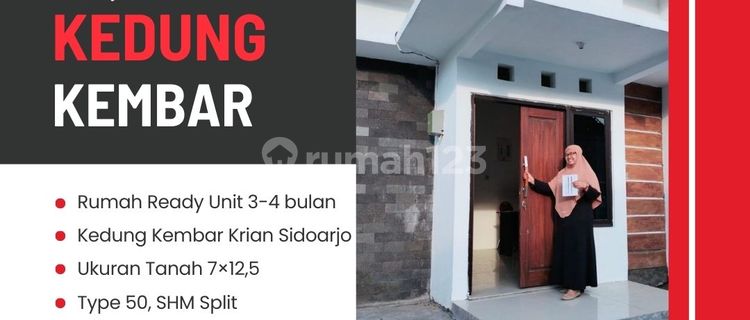 Rumah Murah Lokasi Nol Jalan Aspal Poros Desa Surat SHM Split 1