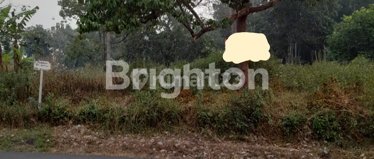 Tanah Gunung Pati Semarang Jawa Tengah 1