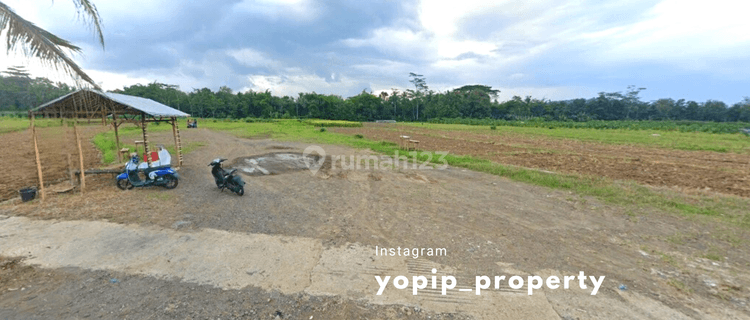 Tanah 2 Jutaan di Magelang, View Sawah Dekat Balkondes Borobudur 1