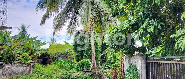 TANAH KEBUN SINGKAWANG KALIMATAN BARAT 1