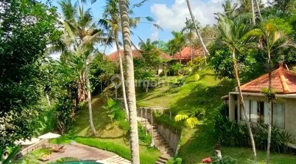 Selling Villa in North Ubud Close to The Kayon, Nice and Beautiful 1