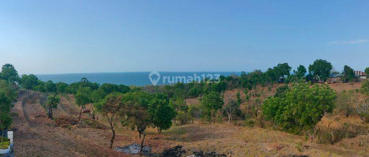 2980m² Super Ocean View Flat Land Kubutambahan Buleleng Bali 1