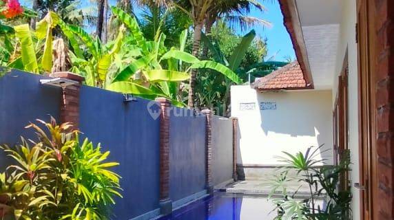 Murah Villa Minimalis With Swimming Pool Kaliasem Lovina Bali 1