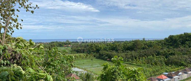 Land Ocean View Tanah 39 Are Dencarik Banjar Buleleng Bali 1