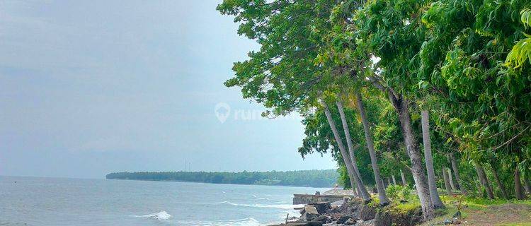 Beachfront land 18 are SHM Edge of Tejakula Beach Buleleng Bali  1