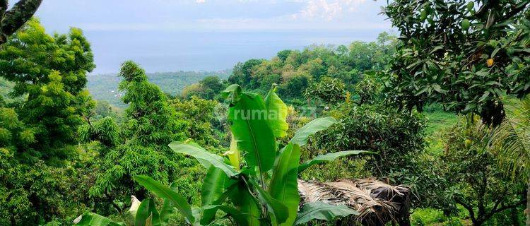 Ocean View 7500m2 Akses Jalan Mobil Jalan Depeha Kubutambahan  1