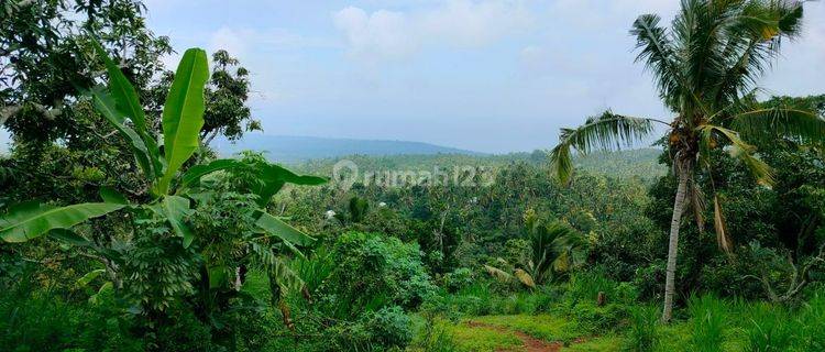 Murah Tanah 30 Are View Laut Jalan Mobil Kubutambahan Buleleng 1