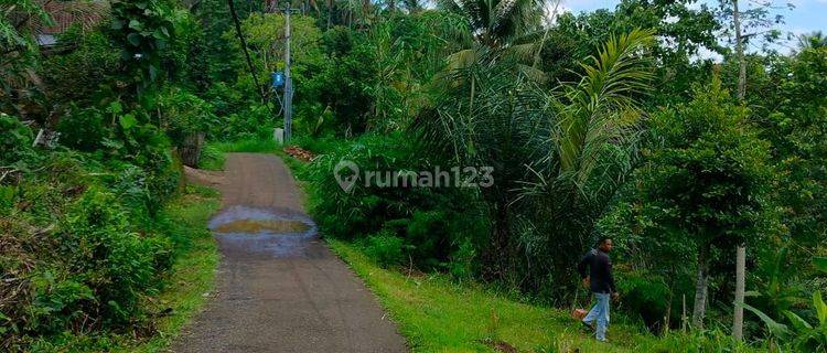 Murah 15 juta per are Tanah Pinggir Jalan Desa Depeha Kubutambahan 1