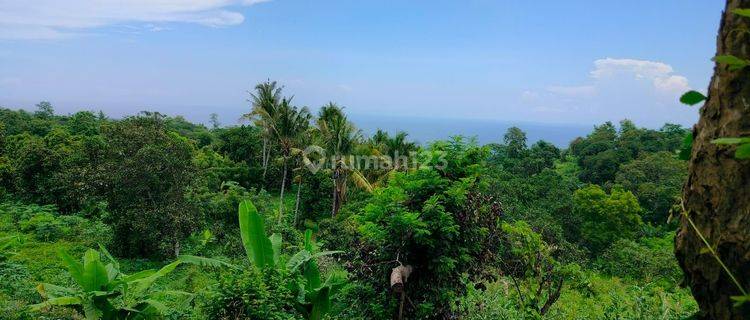 View Laut MURAH! 17 juta per are SHM Depeha Kubutambahan Buleleng Bali  1