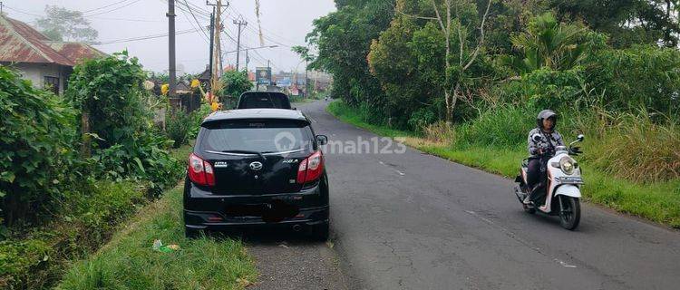 Wanagiri Buleleng Pinggir Jalan Utama 1000m² 1