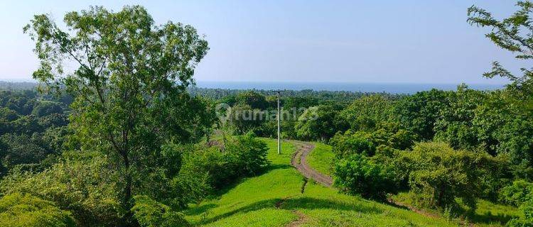 Tanah Datar 1.2ha Car Road Access Kubucepat Buleleng Bali  1