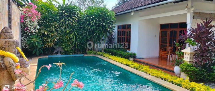 Villa 500m² 3 Bungalow With Swimming Pool Lovina Buleleng Bali  1