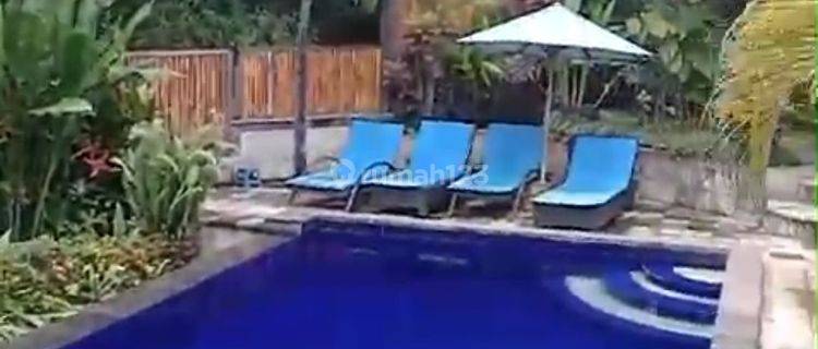 Villa 3 BDR With Swimming Pool Lovina Buleleng Bali  1