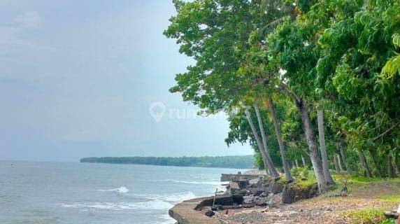 Beachfront Land 1000m² CHEAP Tejakula Buleleng Bali  1