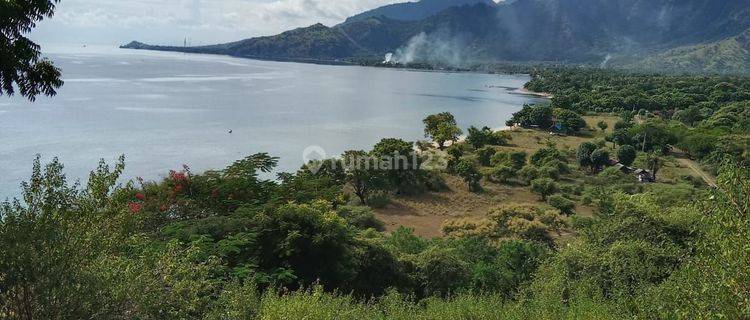 5800m² Beachfront Land Pemuteran Pasir Putih  1