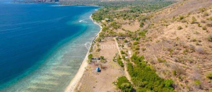 White sand! Beachfront Land 14.95 acres in Pemuteran Buleleng Bali  1