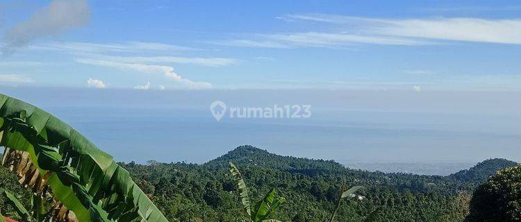 Wanagiri 39 are view laut di Wanagiri Buleleng Bali  1