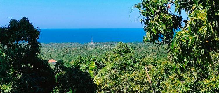 2800m² View Laut Pinggir Jalan Terasering Tejakula Buleleng Bali 1