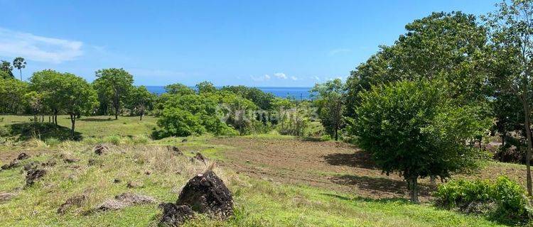 1,5 Ha Land Ocean View Ready To Build Datah Karangasem Bali 1