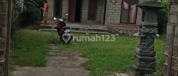 Tanah Bonus Rumah 500M² Central Pemuteran Investasi Bagus Buleleng Bali 1