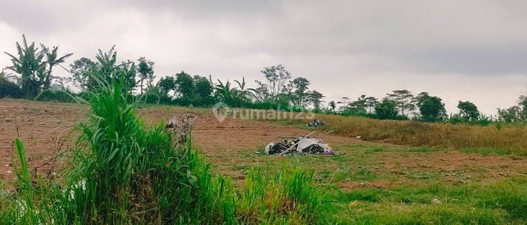 Flat 5000m² On The Side Of The Asphalt Road Wanagiri Munduk Buleleng Bali 1