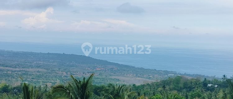 Rumah & Kebun Mangga! View Laut 50 are Kubutambahan Buleleng Bali  1