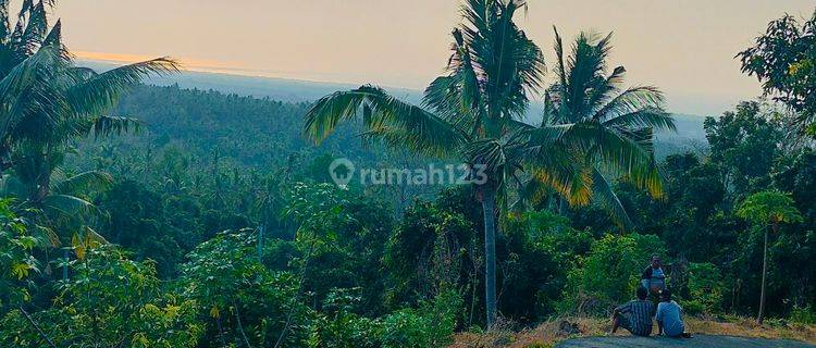 Ocean View 2040m² Jalan Mobil Depeha Kubutambahan Buleleng Bali  1