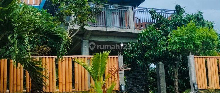 Murah! Vila Super Ocean View 5000m² Kubutambahan Buleleng Bali  1