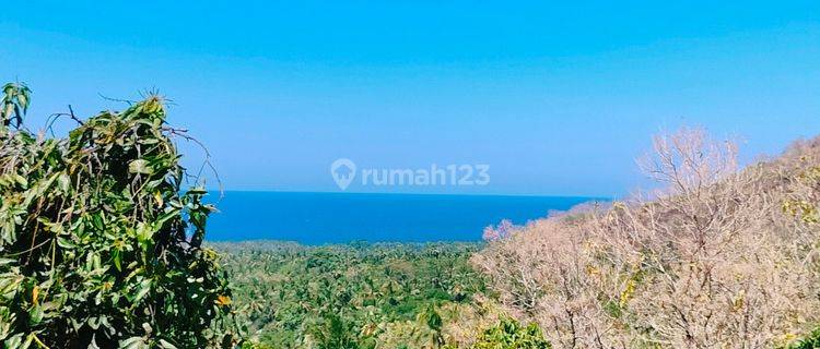 Ocean View Terasering Datar Pinggir Jalan Tejakula Buleleng  1