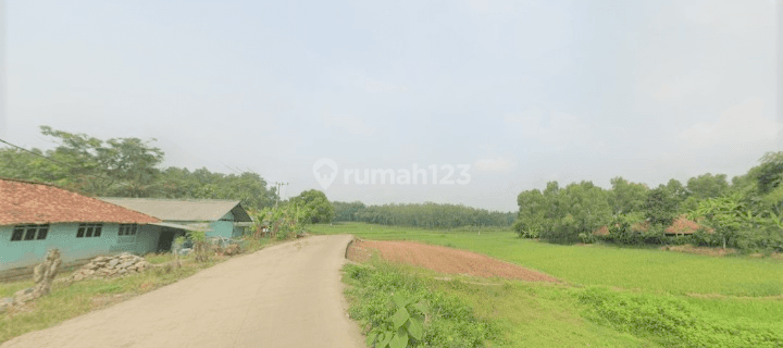 Tanah Kavling Dekat Akse Tol Burangkeng/JAPEK2, 800 Rb-an/m2 1