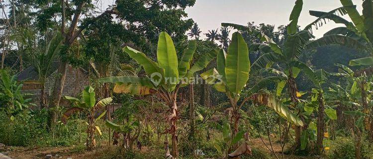 DIJUAL CEPAT TANAH ISTIMEWA DI PEGUYANGAN, DENPASAR UTARA 1