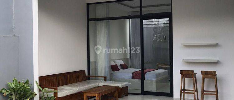 Brand New Modern Tropical Cozy Villa For Yearly Rent In Ubud 1