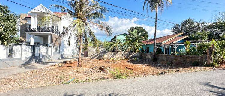 TANAH MUURAH DI TENGAH KOTA KUPANG 1