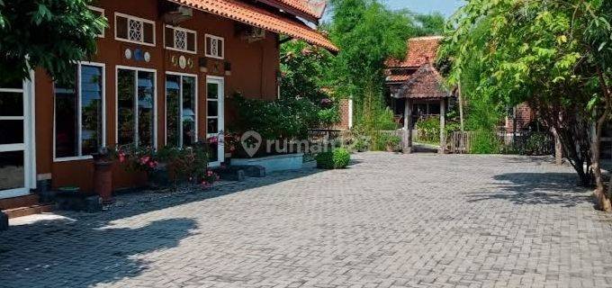 Dijual Rumah Asri & Sejuk Di Godong, Purwodadi 1