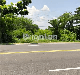Tanah Murah Strategis Siap Bangun Di Dagangan Madiun 1