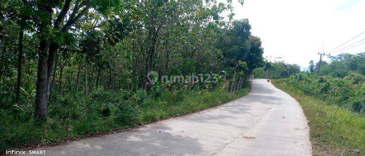 Di jual sebidang tanah di daerah sajira 1