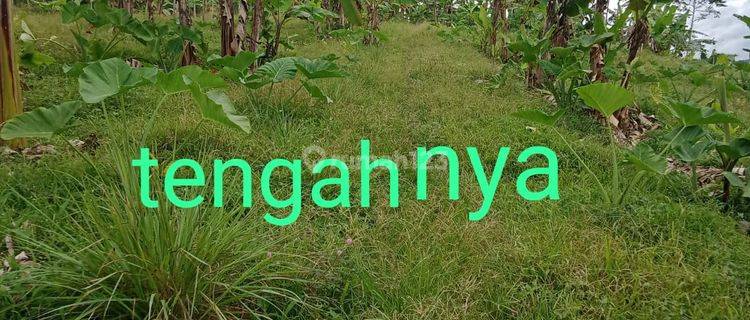 Di jual tanah lokasi sangat strategis  1