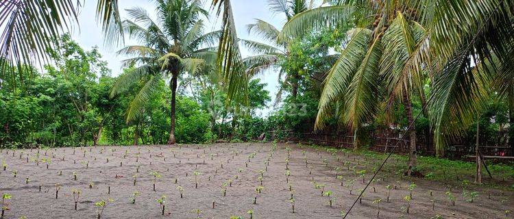 Di jual lahan tanah lokasi sangat strategis view lepas pantai pelabuhan ratu. 1