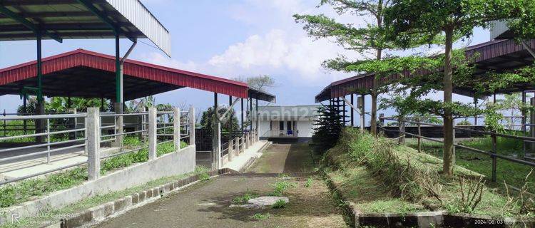 DI JUAL LAHAN TANAH. KANDANG SAPI  1