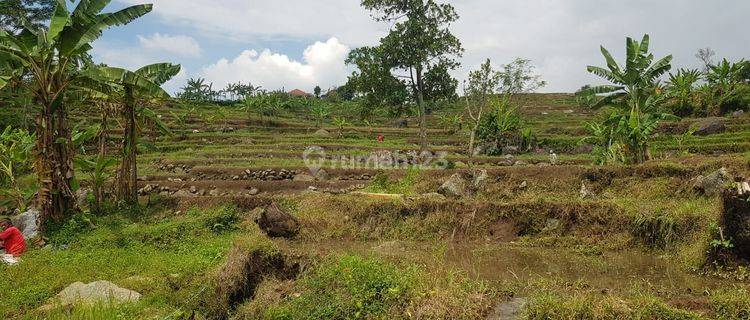 DI JUAL TANAH. LOKASI SANGAT STRATEGIS NEMPEL JALAN. 1